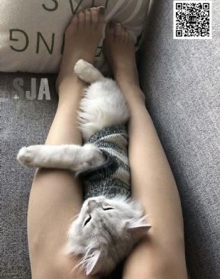 画家电影_国产剧在线视频播放