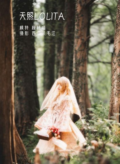 天堂草原影院电视剧_BD在线手机播放