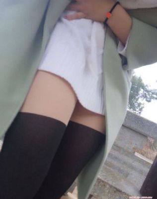 免费观看48集汪汪队_蓝光高清完整版播放