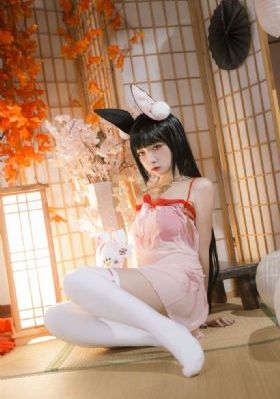 菠萝蜜视频免费观看_1080电影完整版在线观看