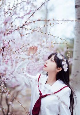 承欢记免费观看_BD日本电影免费
